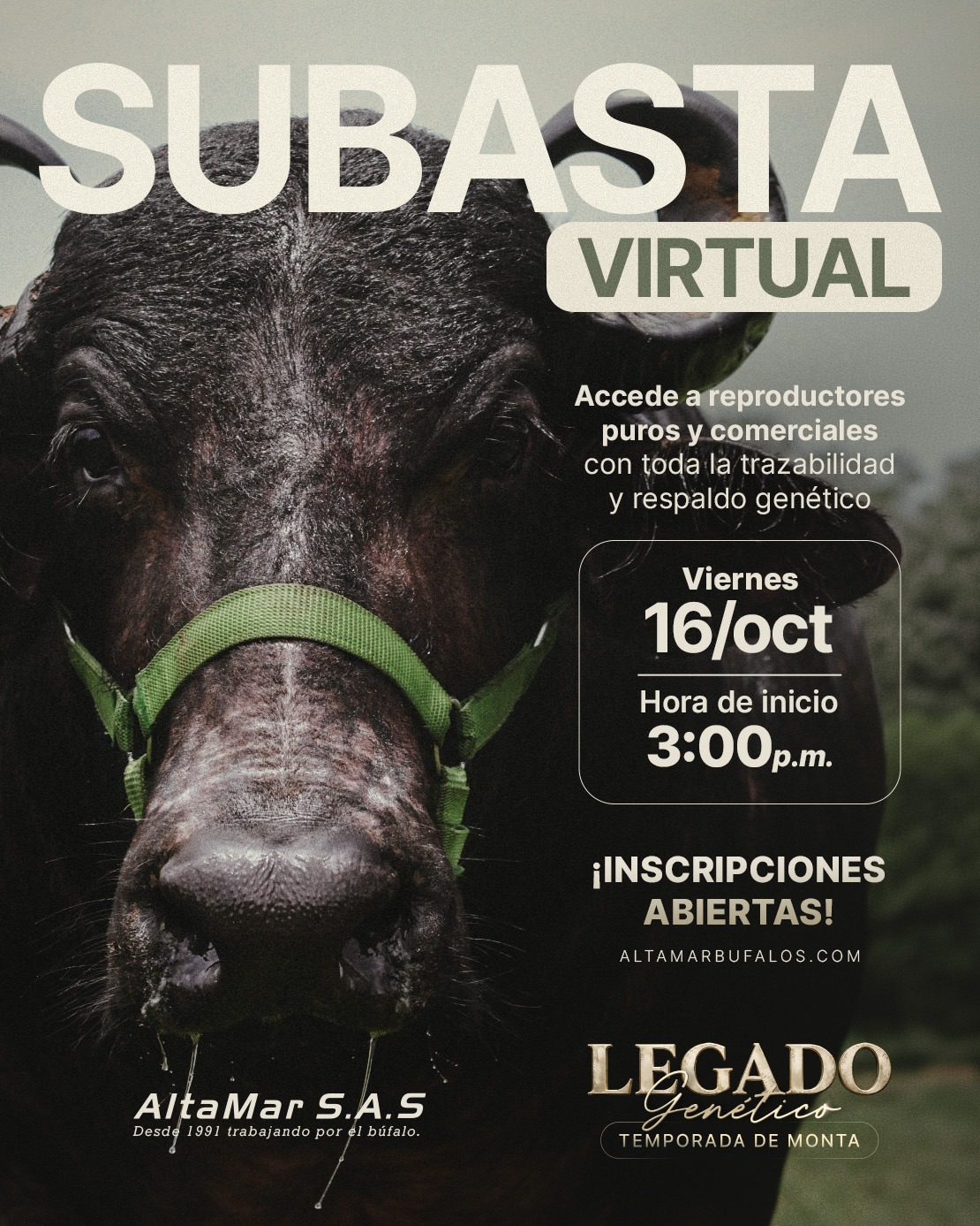Temporada de Monta